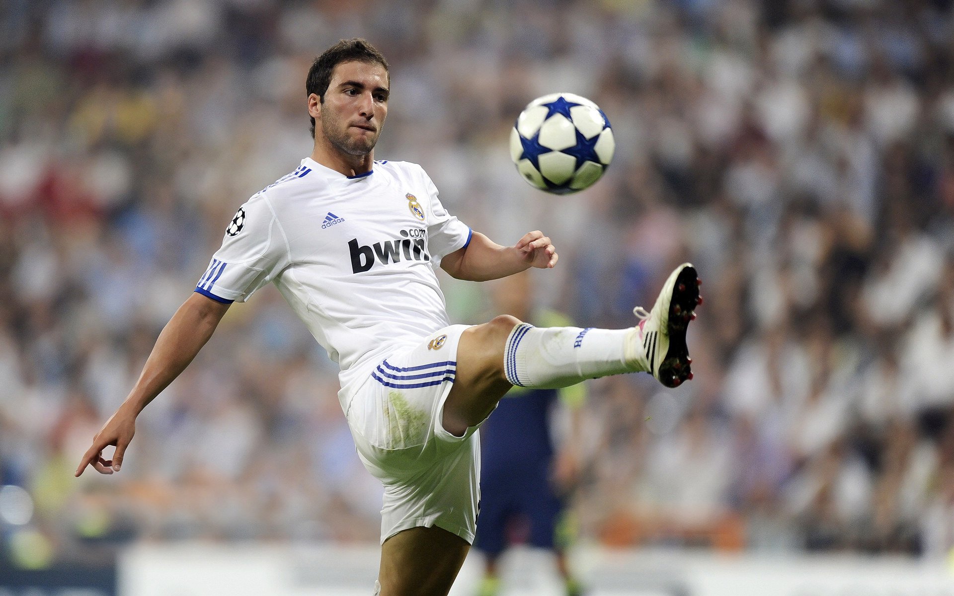 《爆款赛事盘点：年度最火爆的比赛瞬间》，最近很火的大赛